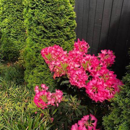 Memorial Holiday Home Christchurch Ngoại thất bức ảnh